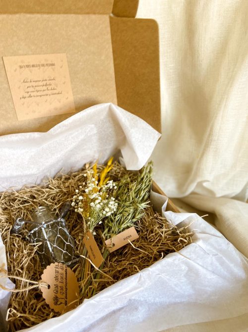 Pack Taller Floral Mini Flores Preservadas en tonos cremitas y amarillos