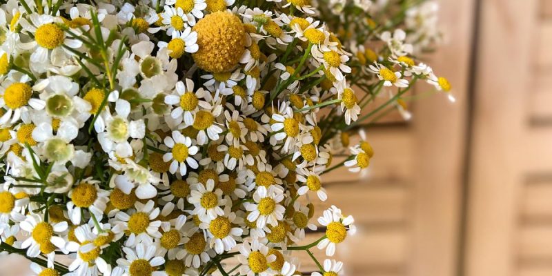 Ramo de novia de flores naturales con margaritas para una boda en Madrid